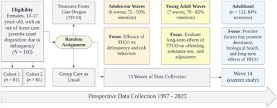 The long-term collateral consequences of juvenile justice involvement for females